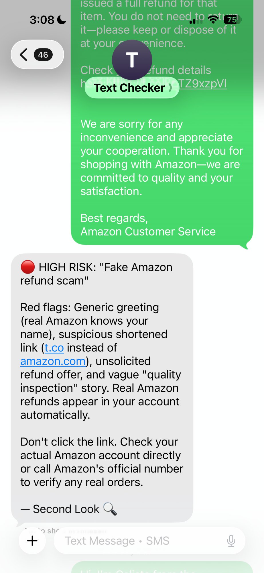 Screenshot of Second Look analyzing a suspicious text